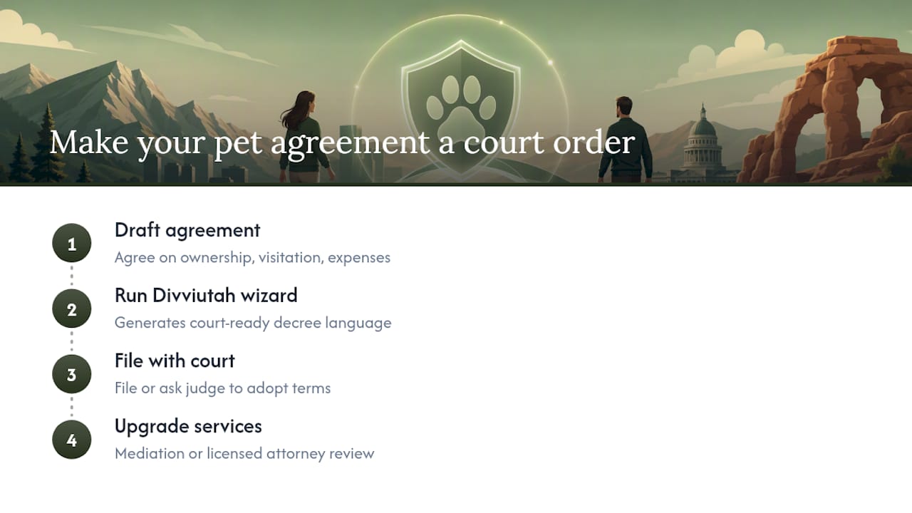 Divvi can turn your pet agreement into a court order — overview diagram